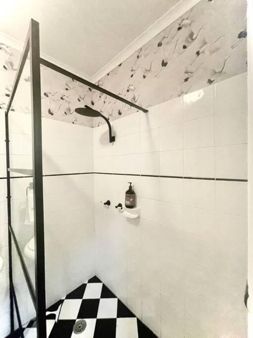 Apartment The Kokopelli Cbd No Fees Wollongong