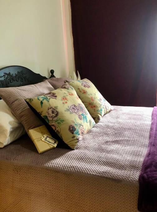 Apartment The Kokopelli Cbd No Fees Wollongong